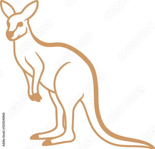 kangaroo vector illustration