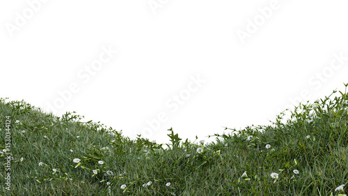 Fresh green grass flowers isolated against a transparent background PNG