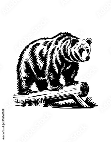 a bear vector , bear standing on a log   branch on white background no background