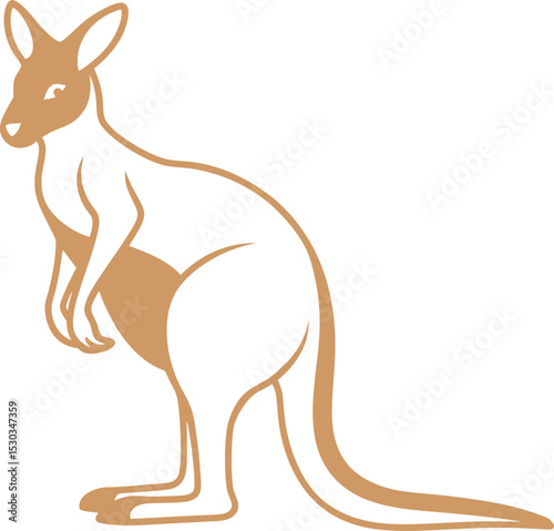 kangaroo vector illustration
