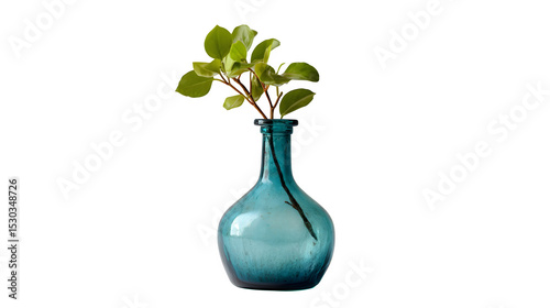 A blue glass vase holding a branch with green leaves against a dark black studio background image view