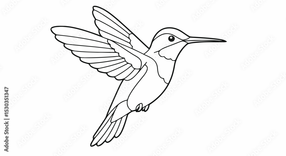 Obraz premium Hummingbird outline coloring page