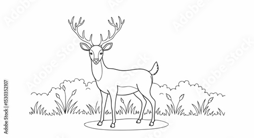 Outline deer in grassy meadow