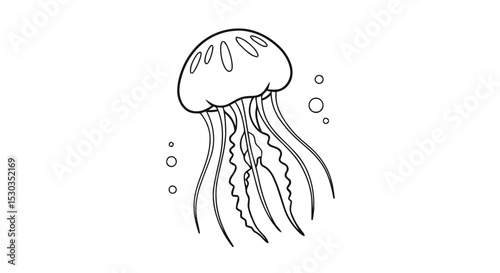 Outline jellyfish ocean animal