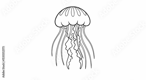 Outline jellyfish ocean animal