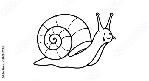 Outline snail cartoon animal