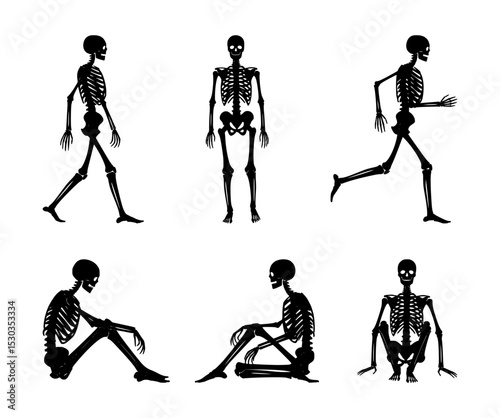 human skeleton silhouette set, isolated background