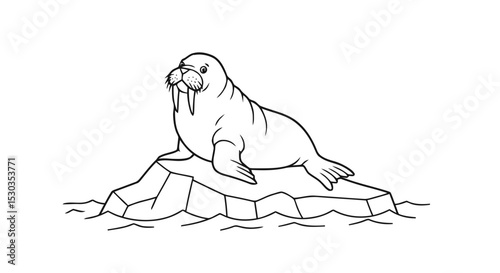 Walrus on Ice Floe Outline