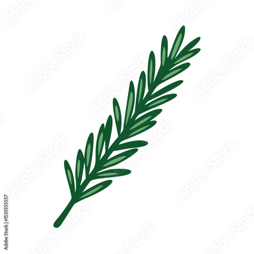 Simple illustration of rosemary. Line drawing. Aroma. Relaxation. Restful sleep. Herb. Plants.