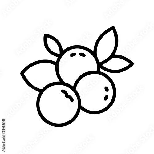 Simple blueberry illustration. Fruit. Anthocyanins. Vitamins.