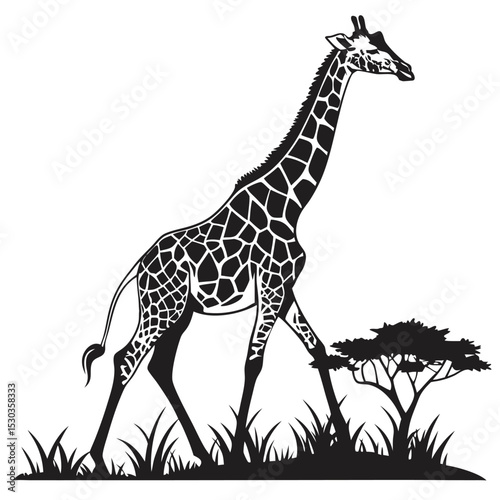Elegant giraffe silhouette standing gracefully in a savanna landscape, showcasing its unique pattern