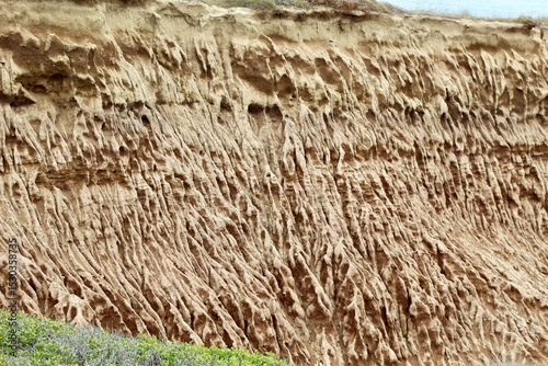 Cool bony skeletal rock formations at Cabrillo national monument park san diego california