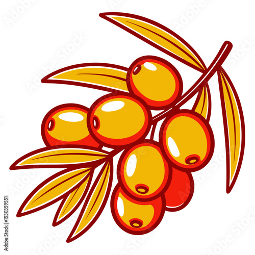 Vibrant Sea Buckthorn Branch with Berries and Leaves Illustration on White