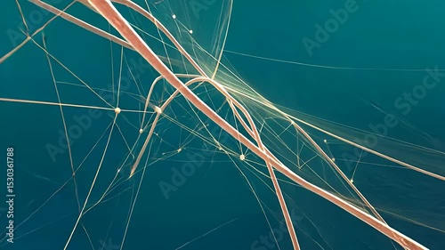 Abstract design featuring flowing lines in shades of pink and blue, creating a dynamic visual effect.