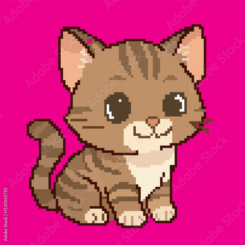 cute cat pixel art, vector illustration on isolated background.