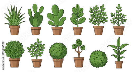 Various types of plants with green leaves are arranged in a terracotta pot
