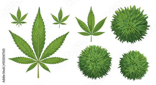 Understanding the Benefits and Risks of Using Marijuana a Comprehensive Overview and Analysis