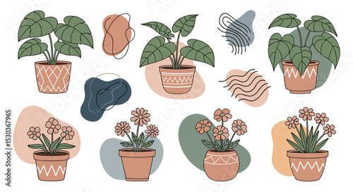 Collection of Beautiful Decorative Potted Houseplants and Abstract Shapes Vector Illustration Design