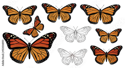 Captivating Cluster of Monarch Butterflies A Detailed Study of Wildlife Beauties