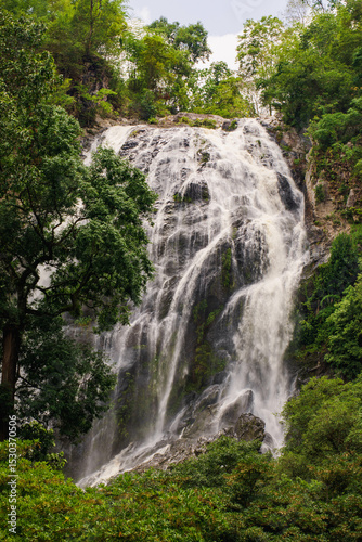 Go on a trip with nature