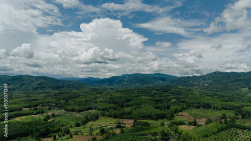 Go on a trip with nature