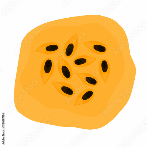 Vector illustration of a pile of passion fruit seeds isolated on white background.
