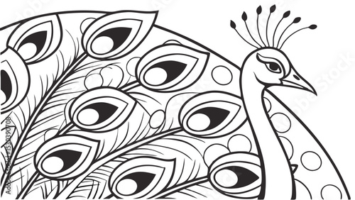 Artistic Peacock Illustration With Detailed Decorative Feathers And Elegant Black And White Pattern Design