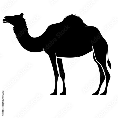 Black Silhouette Of Camel Standing