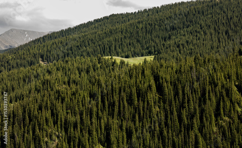 Fototapeta Naklejka Na Ścianę i Meble -  rice fields in the mountains