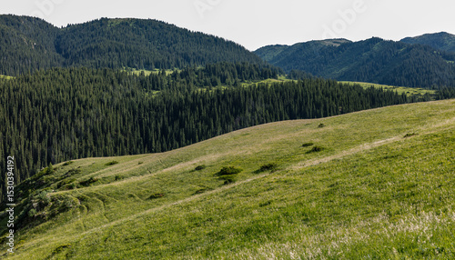mountain landscape with green grass