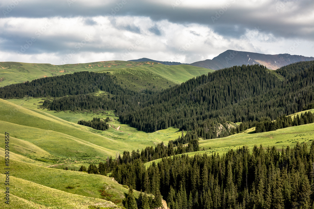 Obraz premium landscape with mountains and trees
