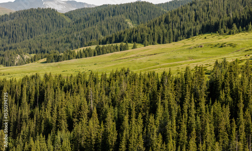 landscape with green grass and mountains