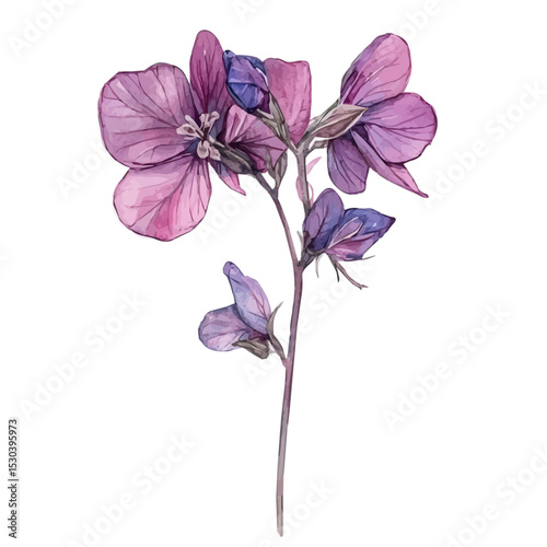 Digital Buret, watercolor painting vector, isolated on a white background.