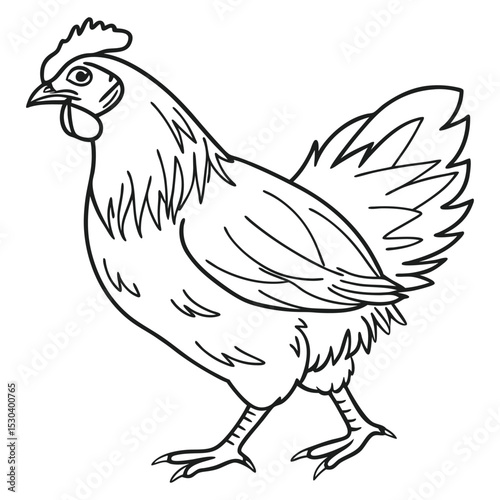 Black and White Chicken Drawing in Minimalist Line Form