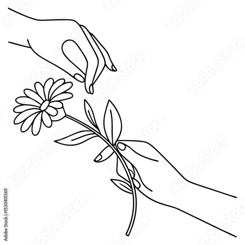 Minimalist Hands Holding Flower Line Art in Black and White
