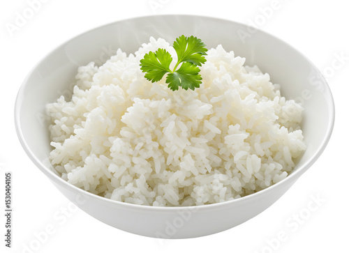 白い器に盛られた、ふっくらと輝く白米。爽やかな彩りのパクチーが添えられて食欲をそそる。