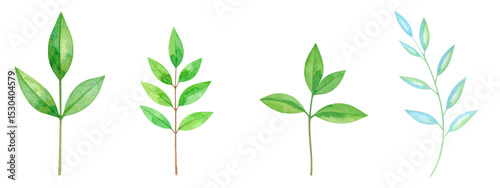 A collection of beautiful green leaves showcasing various shapes and sizes.