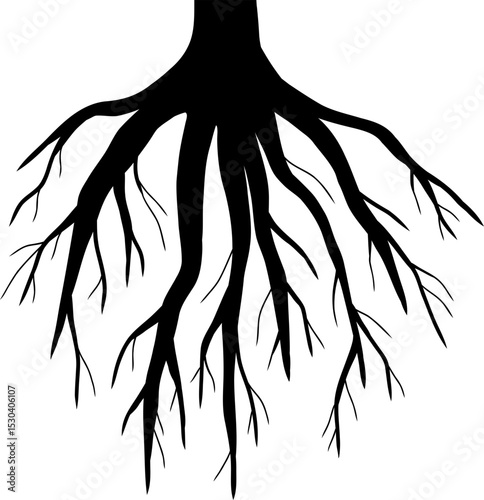 Plant Root Silhouette Illustration