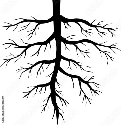 Plant Root Silhouette Illustration