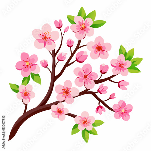 pink cherry blossom