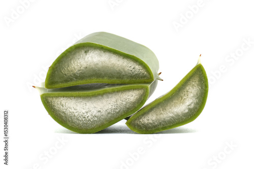 Close-Up of Freshly Cut Aloe Vera Leaf Isolated on White Background