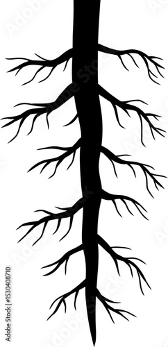Plant Root Silhouette Illustration
