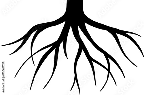 Plant Root Silhouette Illustration