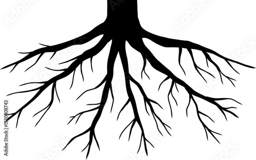 Plant Root Silhouette Illustration