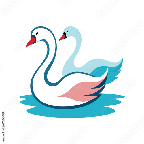two swans on the water