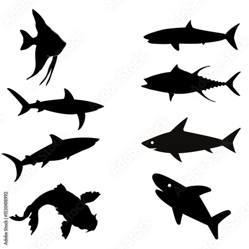 set of sharks vector illustration