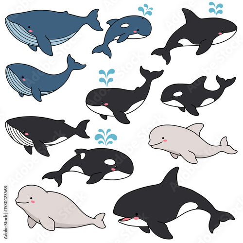 Whales and dolphins, marine underwater mammal, ocean animals flat vector set. Sea wildlife and fish cartoon character illustration