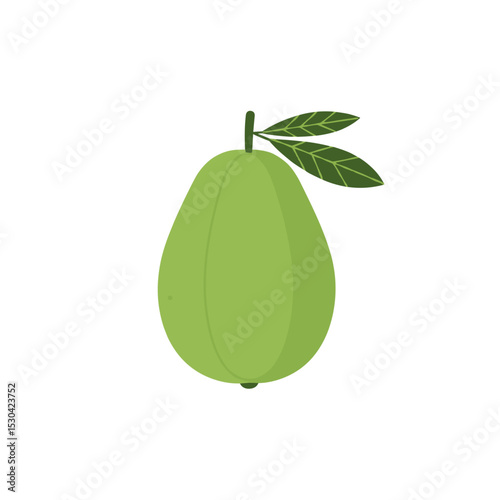 Stylized illustration of a green fruit with two leaves, isolated on a white background