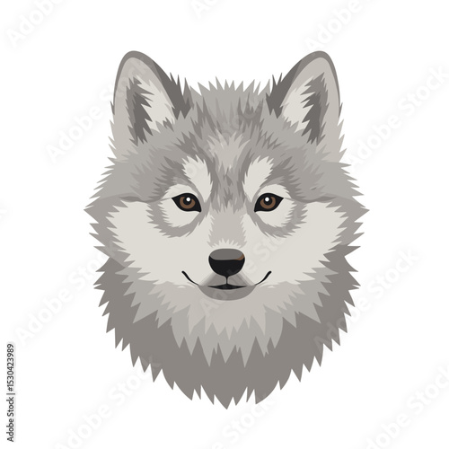 Wolf face. Cute, cartoon style rendering of animal on white background, looking forward, calm expression