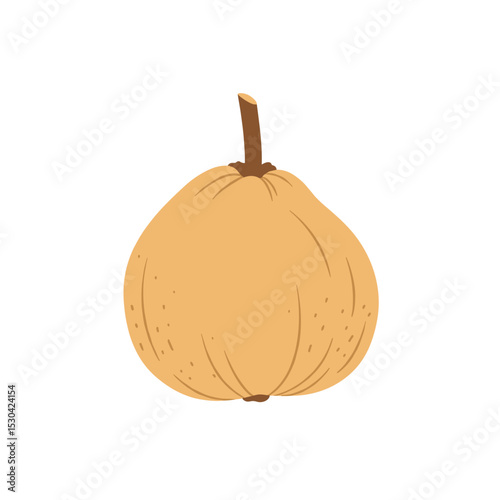 Stylized melon with stem